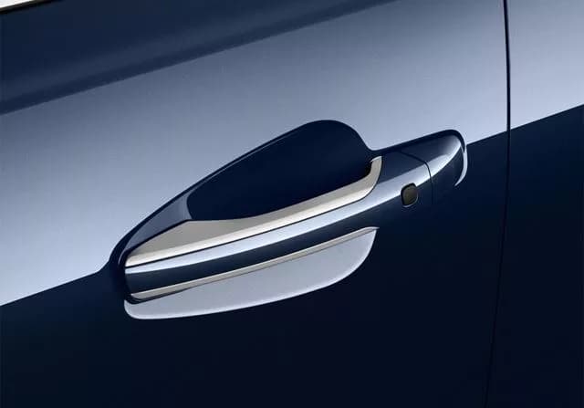 Cadenza
