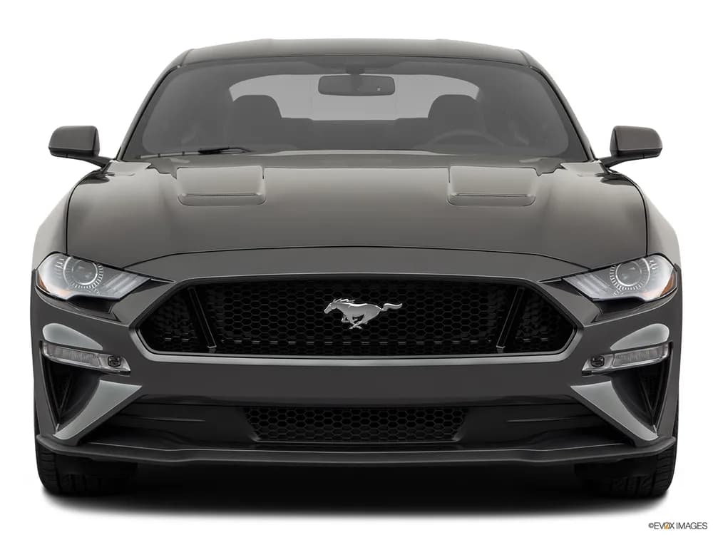 Mustang