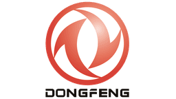 DFM logo