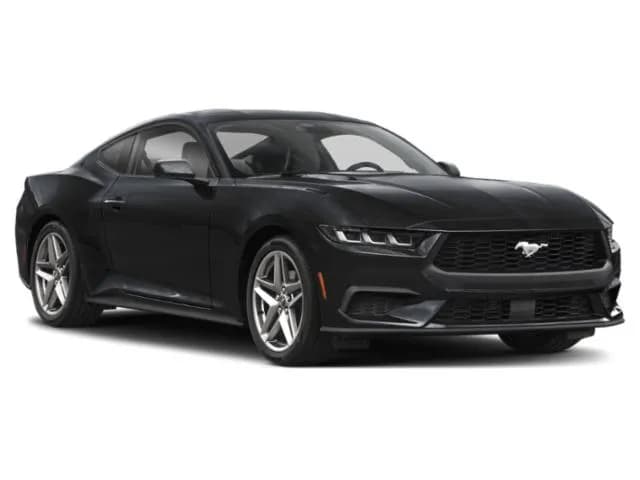 Mustang