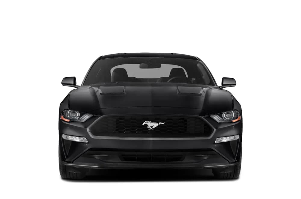 Mustang