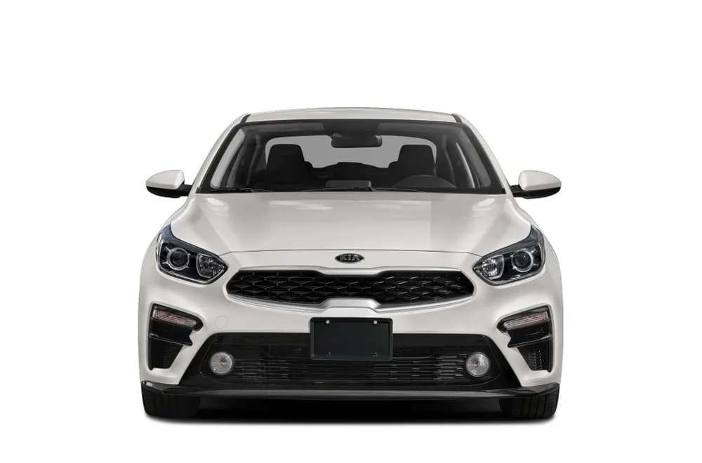 Cerato