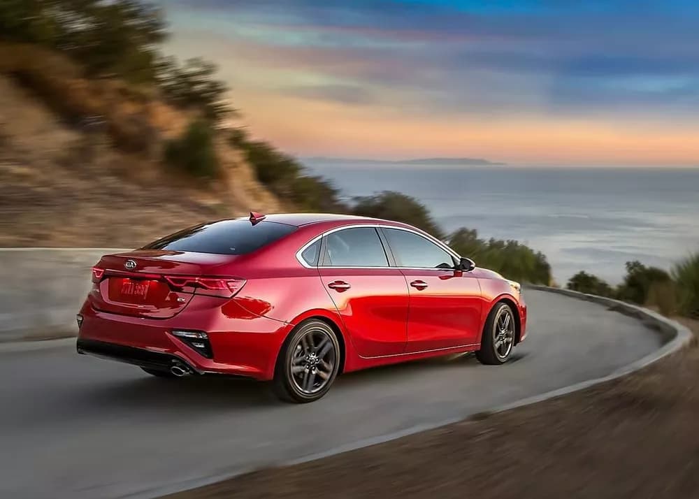 Cerato