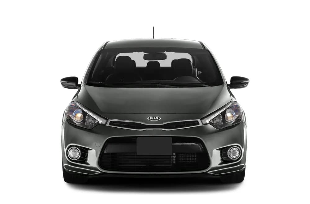 Cerato