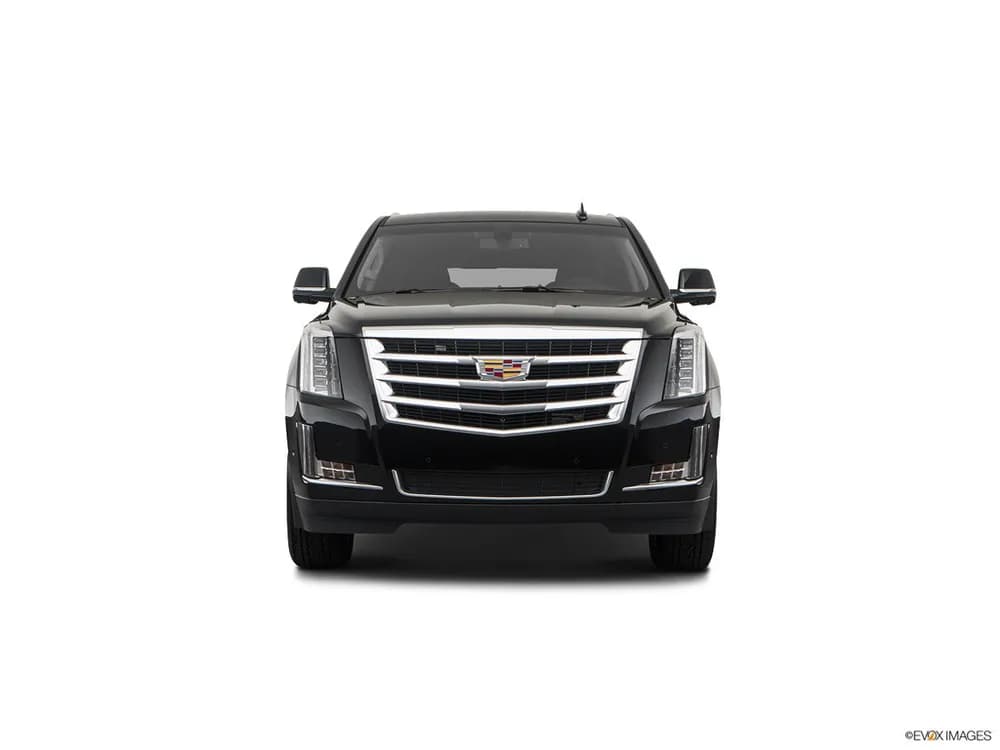 Cadillac Escalade 2019 6.2L Standard