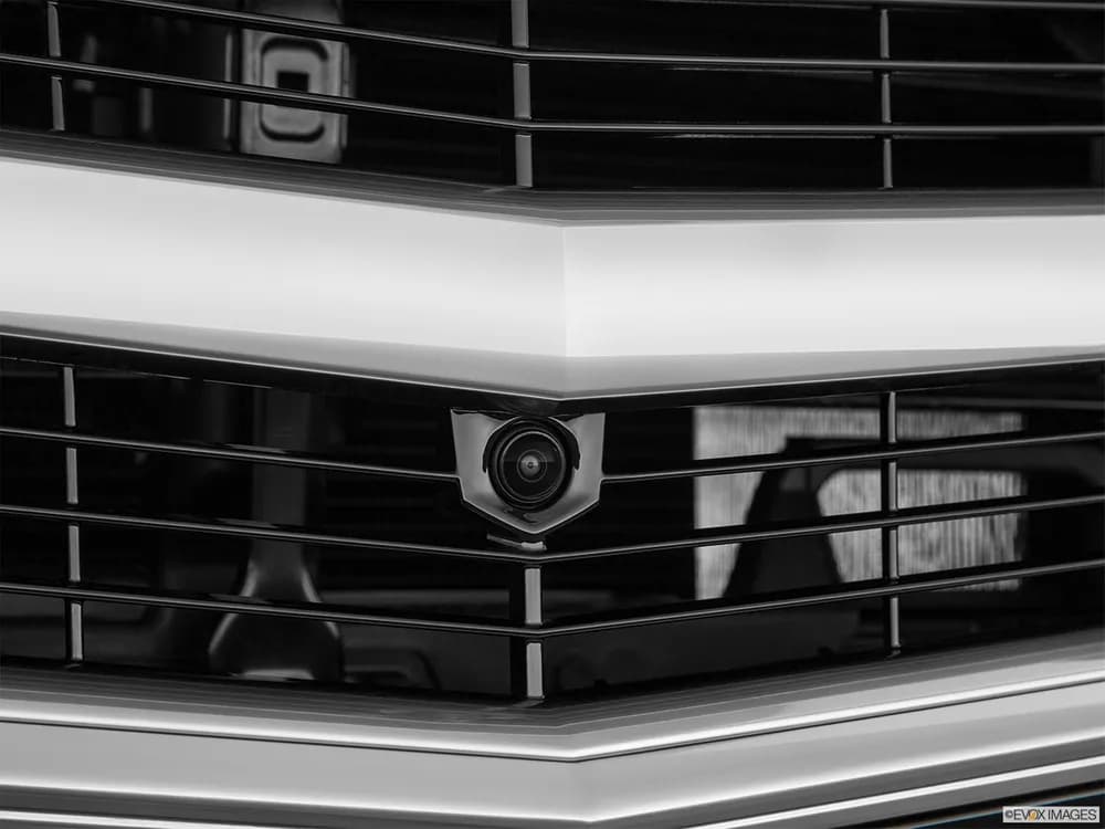 Cadillac Escalade 2019 6.2L Standard
