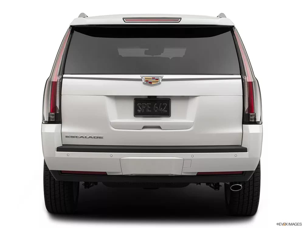 Cadillac Escalade 2020 6.2L Platinum