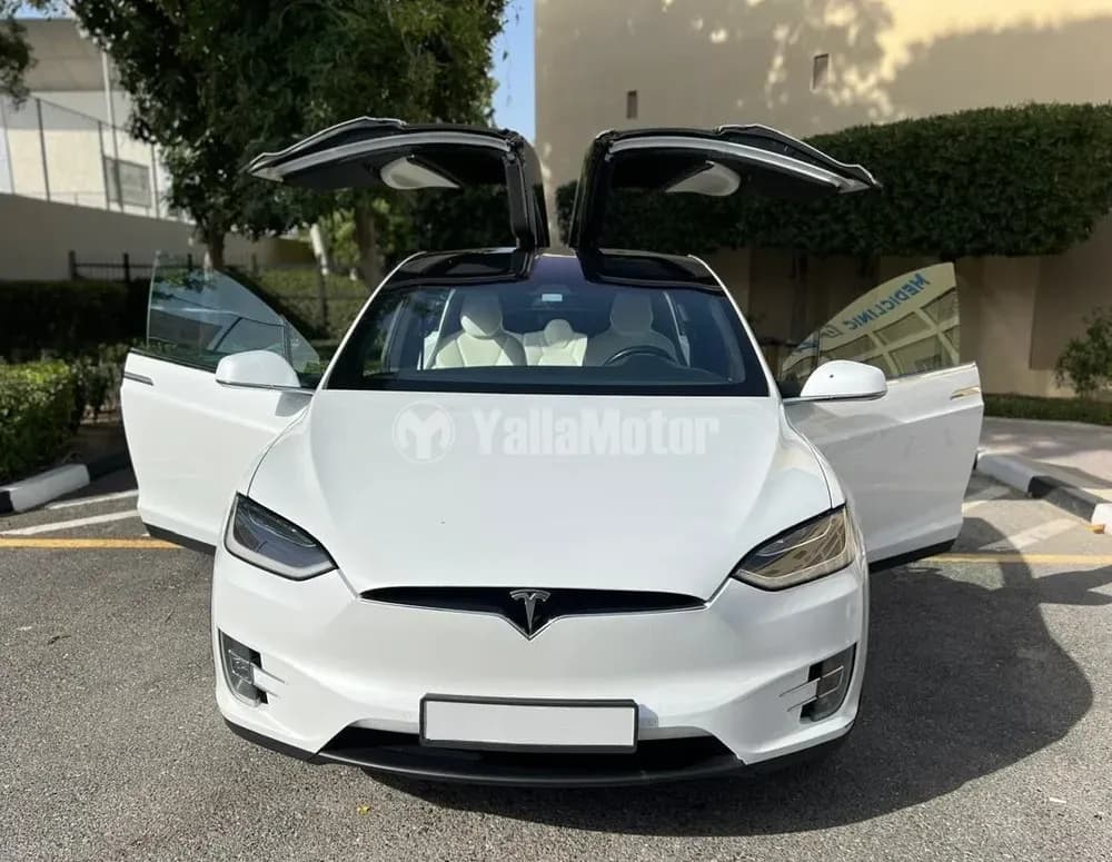 Used Tesla Model X 100D 2017