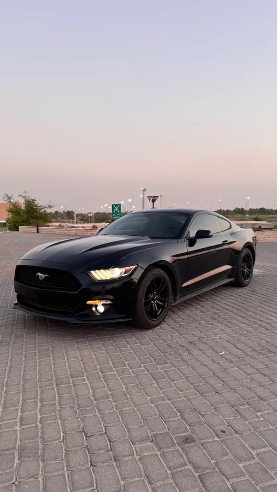 Used Ford Mustang 2.3L EcoBoost Coupe 2016