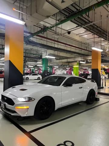Used Ford Mustang 2.3L EcoBoost Coupe 2020 Used Ford Mustang 2.3L EcoBoost Coupe 2020 used_cars.forSale