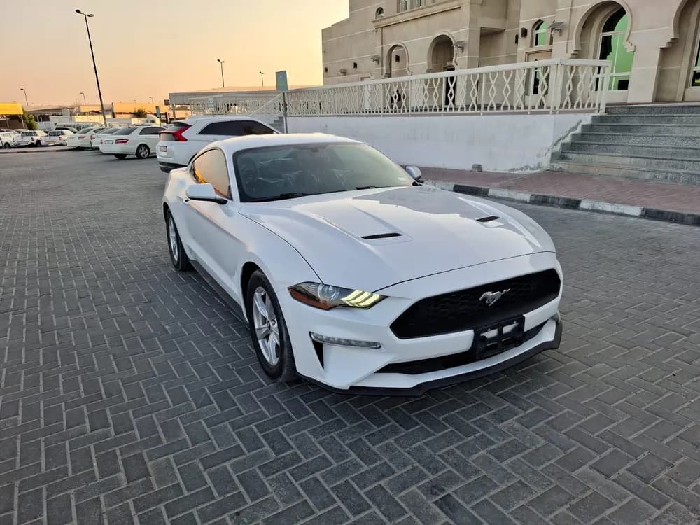 Used Ford Mustang 2.3L EcoBoost Coupe 2020