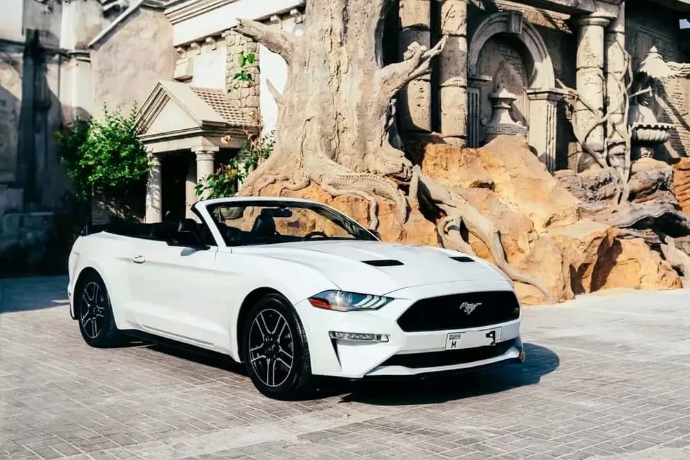 فورد موستانج 2.3L إيكوبووست مكشوفة 2019 مستعملة