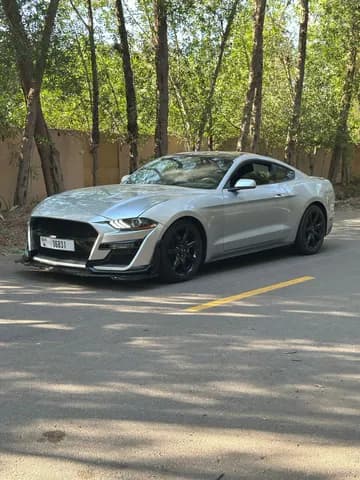 Used Ford Mustang 2.3L EcoBoost Fastback Premium 2019 Used Ford Mustang 2.3L EcoBoost Fastback Premium 2019 used_cars.forSale