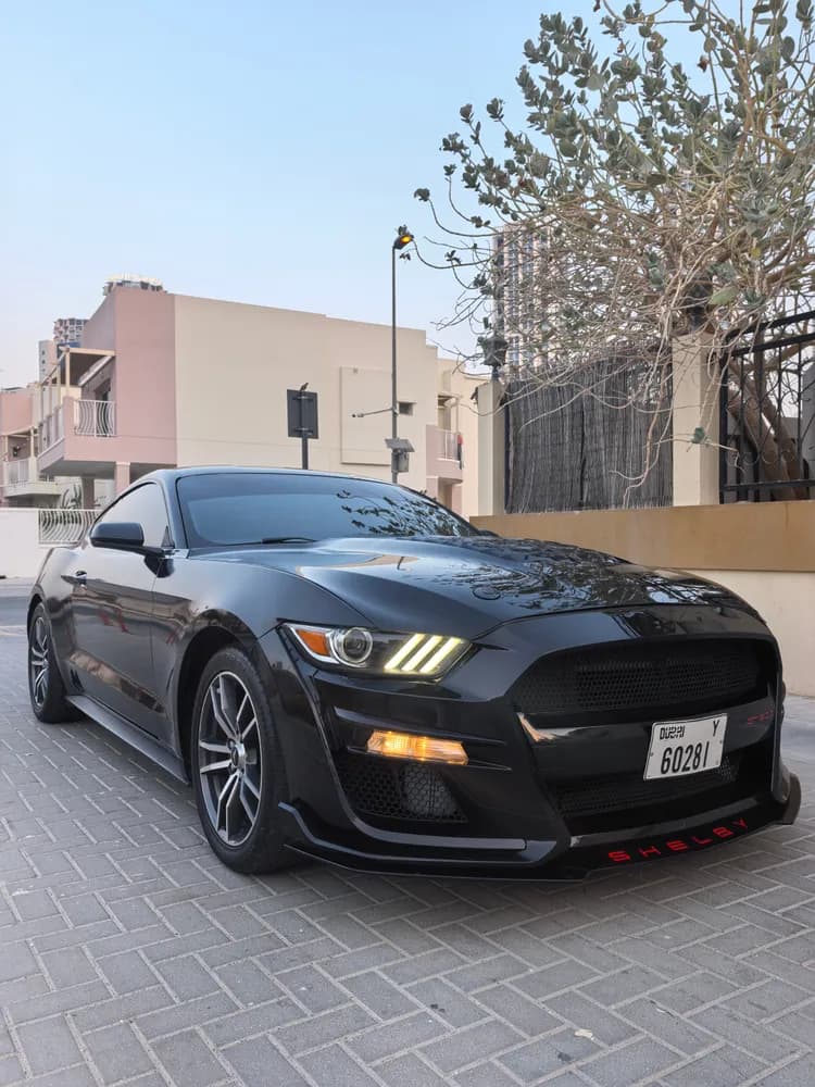 Used Ford Mustang 2.3L EcoBoost Coupe 2016