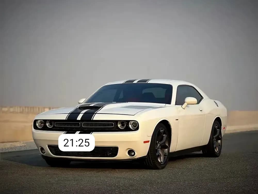 Used Dodge Challenger 2019