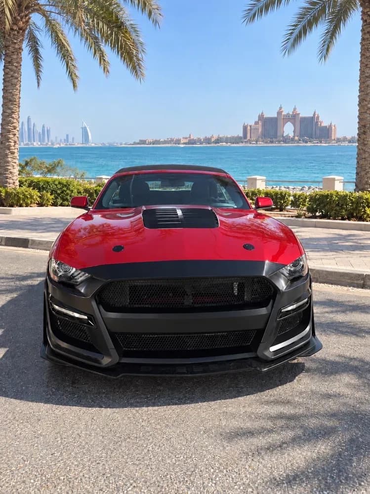 Used Ford Mustang 2.3L EcoBoost Convertible 2019