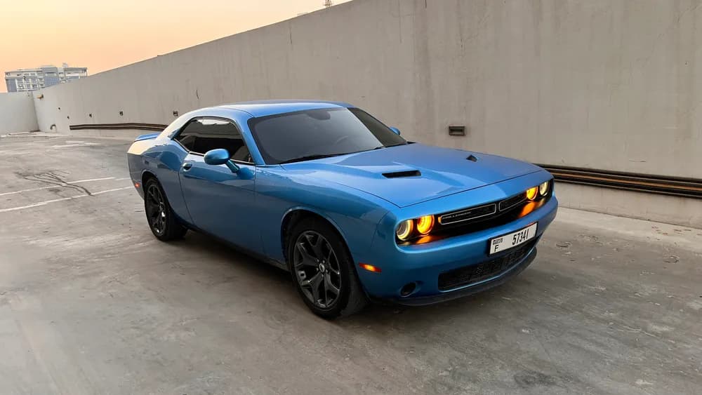Used Dodge Challenger 3.6L SXT 2019