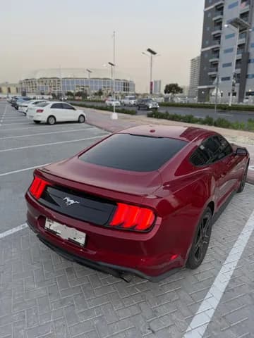 Used Ford Mustang 2.3L EcoBoost Coupe 2020 Used Ford Mustang 2.3L EcoBoost Coupe 2020 used_cars.forSale