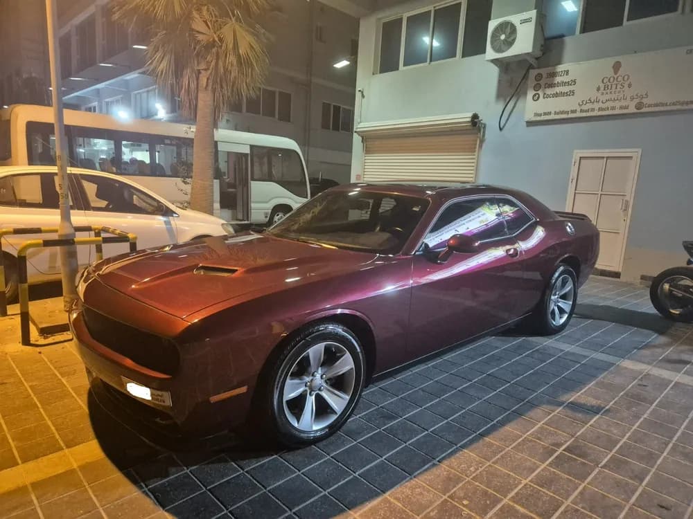 Used Dodge Challenger 3.6L SXT 2019