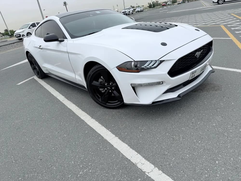 Used Ford Mustang 2.3L EcoBoost Coupe 2022