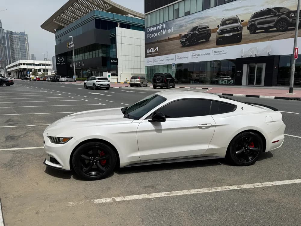 Used Ford Mustang Coupe 3.7L Premium 2017