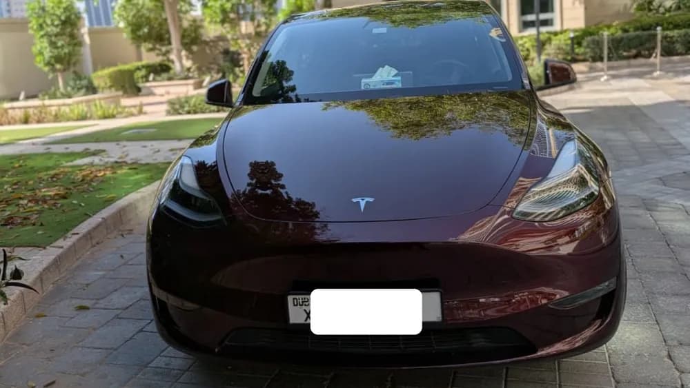 Used Tesla Model Y Long Range (RWD) 2023