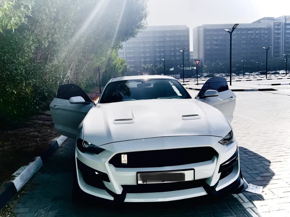 Used Ford Mustang 5.0L GT Coupe 2018