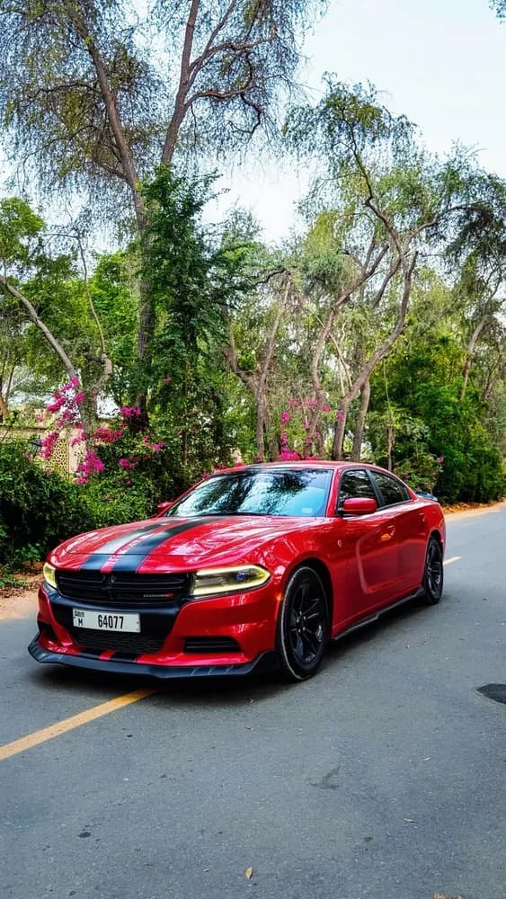 Used Dodge Charger 3.6L SXT (Base) 2016
