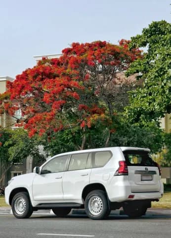 تويوتا لاند كروزر برادو TX 2018 مستعملة تويوتا لاند كروزر برادو TX 2018 مستعملة used_cars.forSale