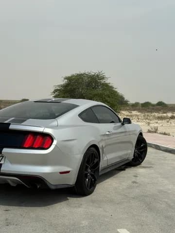 Used Ford Mustang 2.3L EcoBoost Coupe 2017 Used Ford Mustang 2.3L EcoBoost Coupe 2017 used_cars.forSale