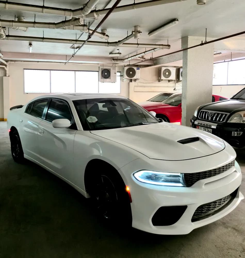 Used Dodge Charger 3.6L SXT Plus 2019