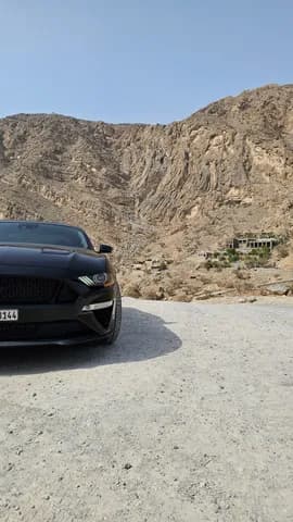 Used Ford Mustang 5.0L Fastback GT Premium 2023 Used Ford Mustang 5.0L Fastback GT Premium 2023 used_cars.forSale