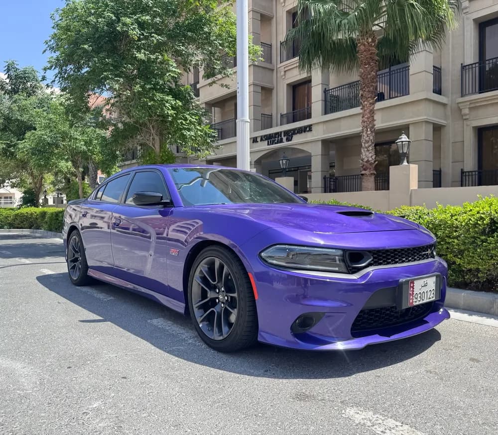 Used Dodge Charger 6.4L R/T Scatpack 2023